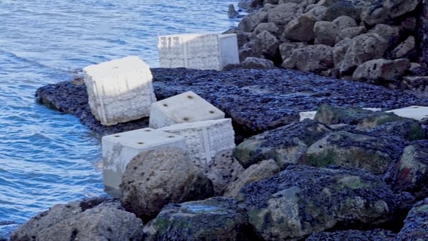 The project is a world-first effort to prove that marine biodiversity can be enhanced by a marriage of eco-engineering and environmental sustainability