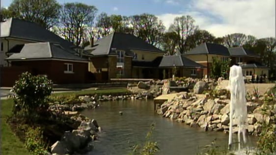 Carrickmines Oaks, new houses in the Carrickmines Wood development, 1999.