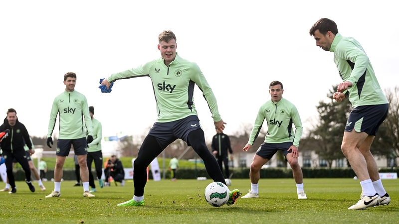 The Ireland squad in action on the eve of the game