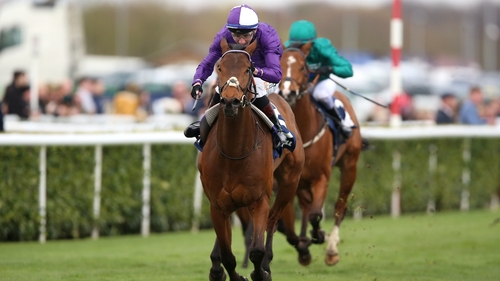 Mr Professor and David Egan coming home to win the prestigious handicap