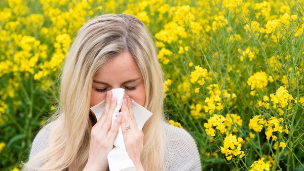 Warmer temperatures occurring earlier in the year are expected to worsen the common condition.