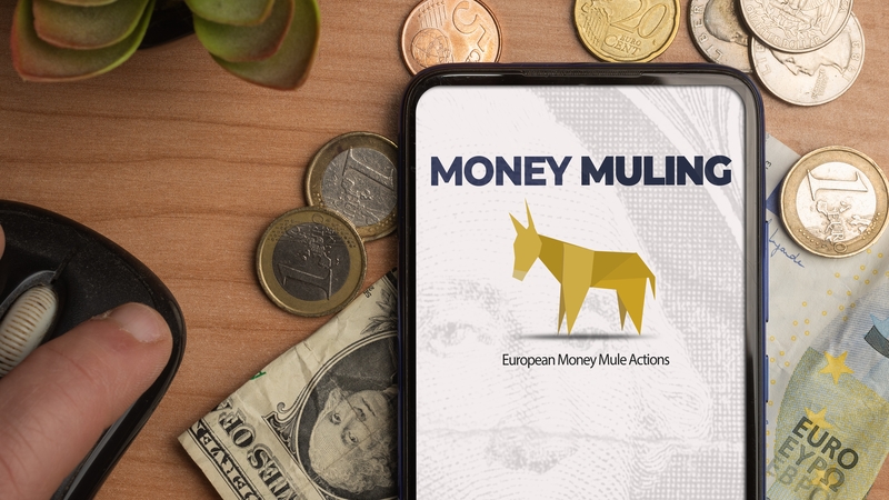 Bank of Ireland said the practice of fraudsters recruiting students and young people as "money mules" is on the increase with much recruitment done through social media