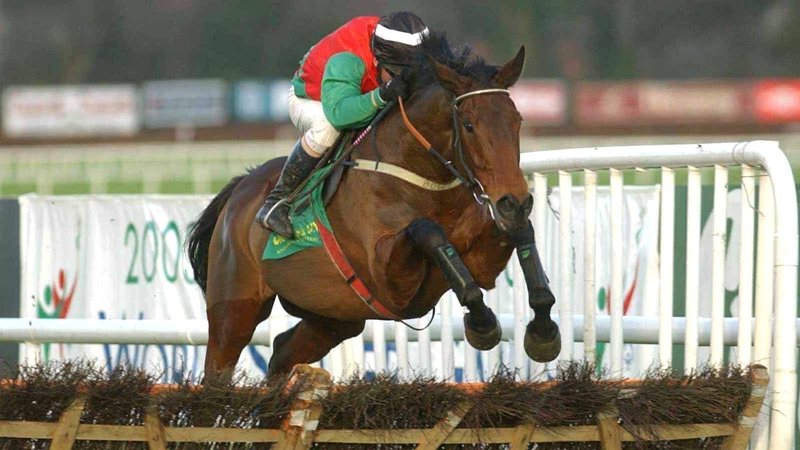 Limestone Lad leading from the front in Leopardstown, as fans loved to see him