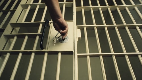 Authorities transferred 26 prisoners wanted in the US for ties to drug-trafficking groups (Stock image)