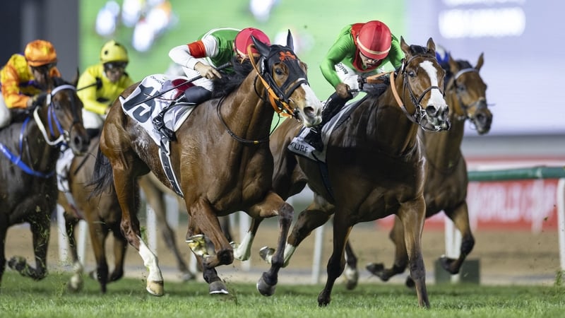 Facteur Cheval (green and red silks) claimed a first Group One win in the Dubai Turf at Meydan in March