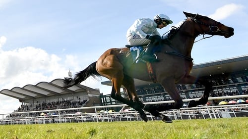 Jade De Grugy, with Paul Townend up, on their way to winning the Irish Stallion Farms EBF Honeysuckle Mares Novice Hurdle