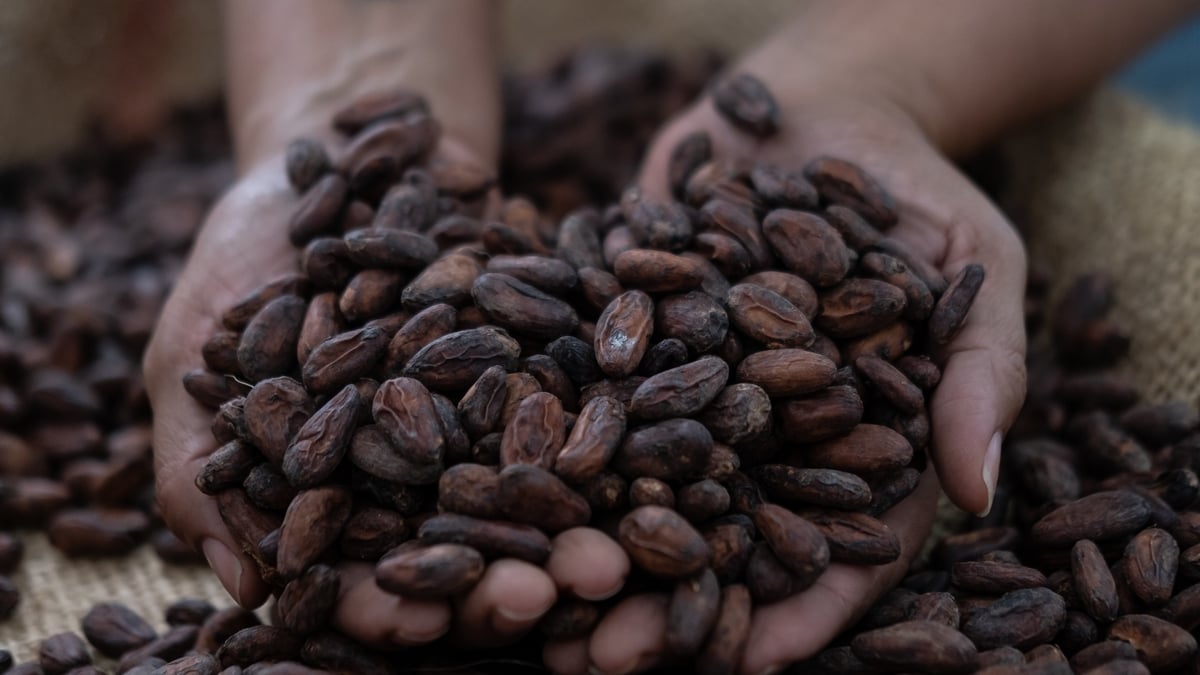 Pricewatch - Easter Eggs