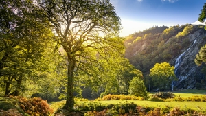 Ireland's best secret gardens