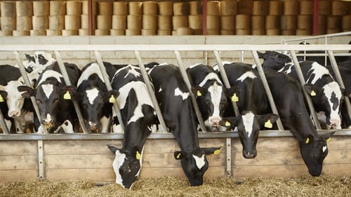 'Our goal is to exploit the small genetic differences between animals to produce more economically, environmentally and socially sustainable animals.' Photo: Getty Images