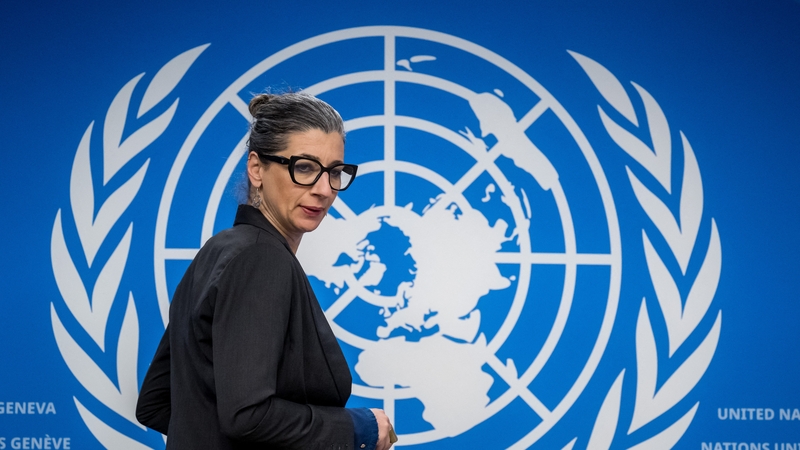 The UN Special Rapporteur on the Occupied Palestinian Territory condemned the latest strikes on Gaza