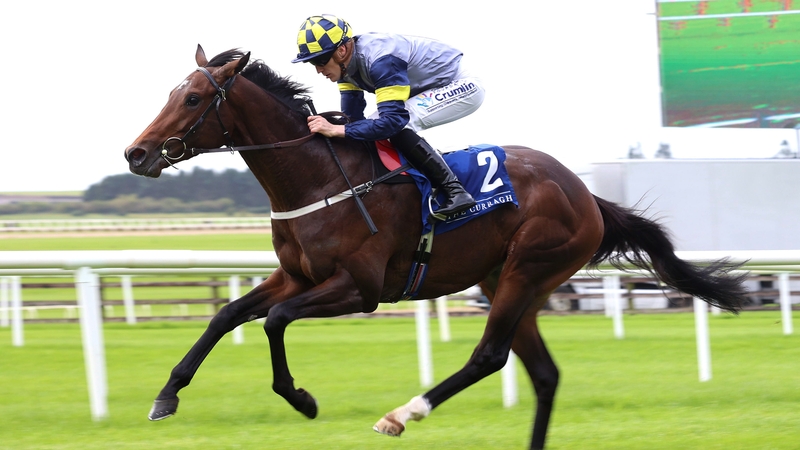 Deepone ridden by Billy Lee on their way to winning the Beresford last September