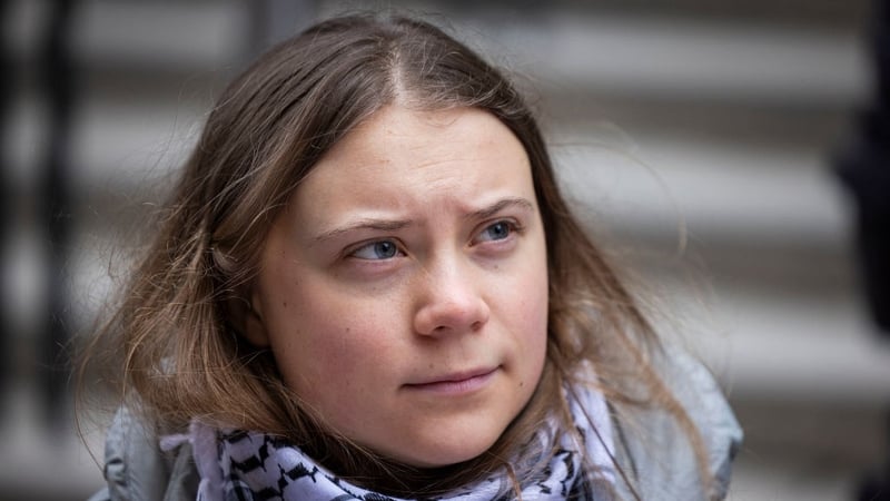 Greta Thunberg was detained at a demonstration in the Netherlands (file photo)