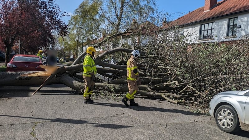 Firefighters from Finglas Fire Station deal with a downed tree in Glasnevin, Dublin (Photo: Dublin Fire Brigade)