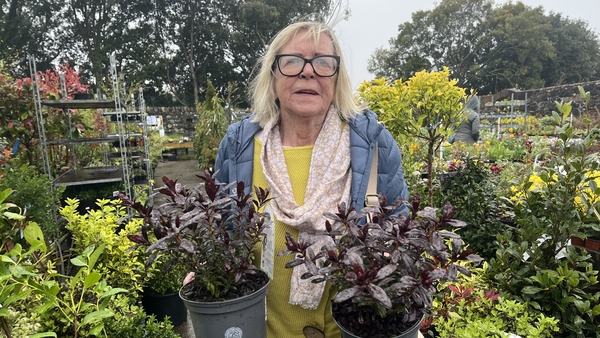 Christine Heverin with two potted plants that she was replacing in her 'swamped garden'