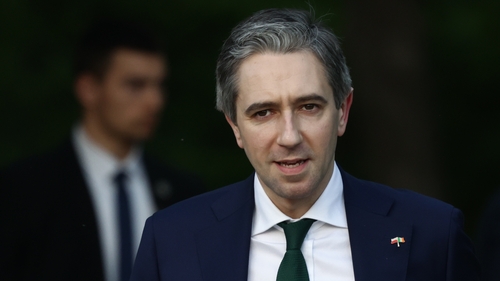 Simon Harris's Fine Gael party fell 1 percentage point to 21%, according to a poll by Red C for the Business Post (file photo)