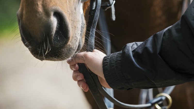 Several agencies are involved in the investigation