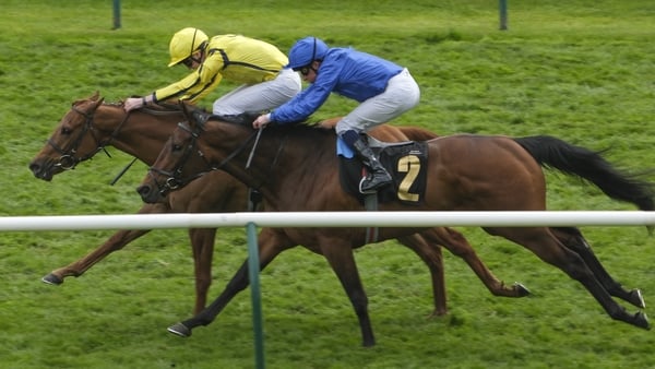 Pretty Crystal (far side) doesn't have an entry in the 1000 Guineas