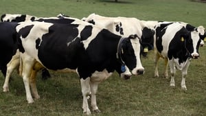 TB – Learning from others  show image