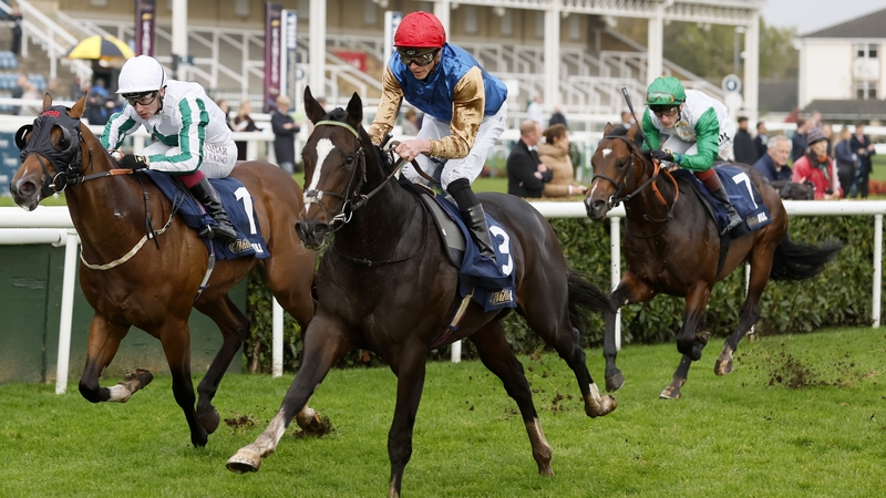 Ballymount Boy wins with his ears pricked on his final juvenile outing at Doncaster