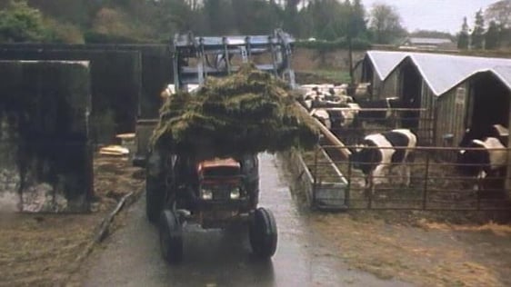 Tractor on farm (1984)