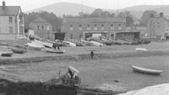 A bulldozer removes seaweed from Greystones Harbour in County Wicklow, 1974.