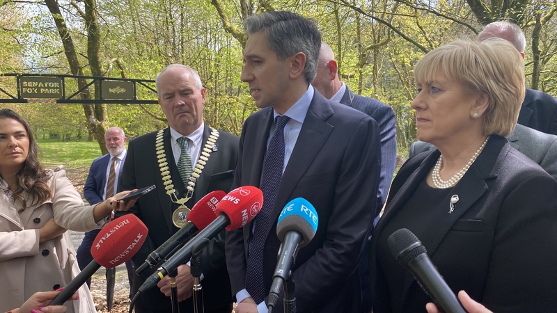 Simon Harris said politics has become more dangerous for elected representatives