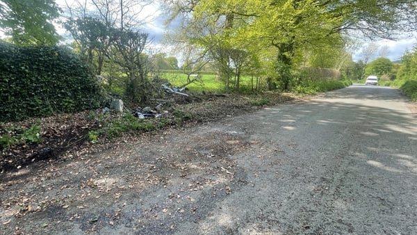 The girl was a passenger in a car which crashed at Slaney Park shortly before 5am this morning