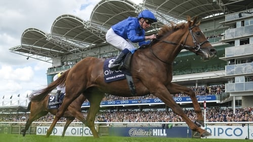 Notable Speech's dame Swift Rose won the only contest of her seven-race career over six furlongs as a two-year-old