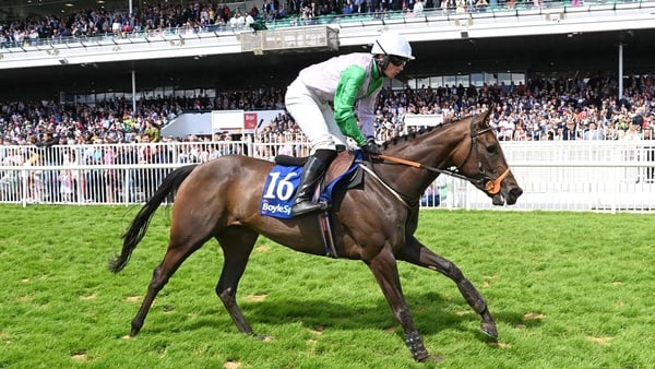 A five-time winner before joining Shark Hanlon, Enfranchise was purchased from Godolphin for just 68,000 guineas at the 2022 Tattersalls December Mares Sale