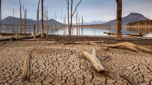 Research suggests biodiversity loss appears to play an outsize role in increasing infectious disease