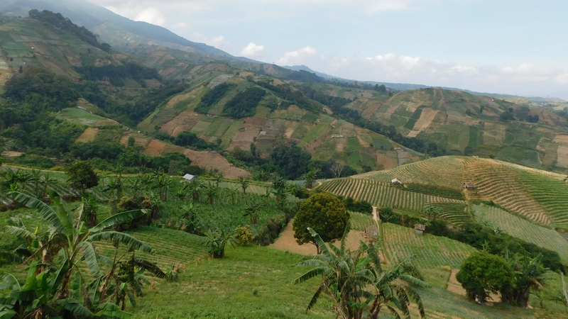 The bus was carrying more than 60 students and teachers from the Java Island town of Depok to Lembang (file image)