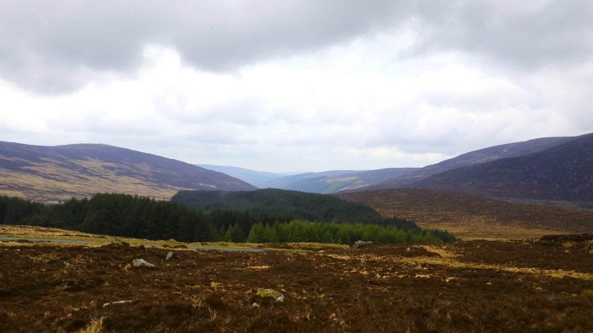 Investigations under way into number of peat extraction sites after suspected illegal activities