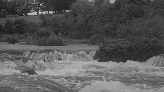 Doonass Falls, river Shannon (1964)