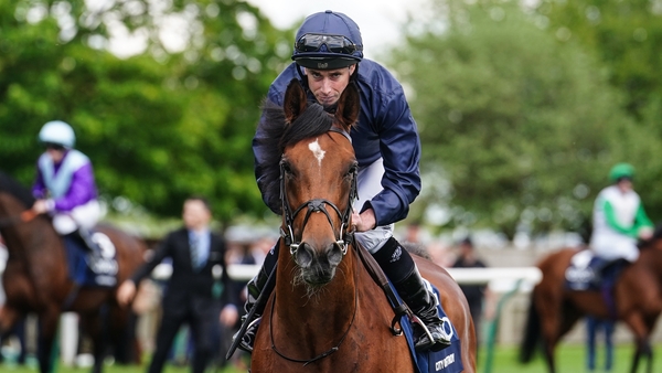 City Of Troy has drifted in the betting for the Derby over the last 24 hours