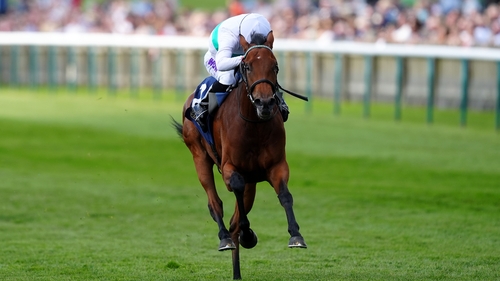 Friendly Soul has a Prix de Diane entry at Chantilly, but isn't entered in the Oaks at Epsom