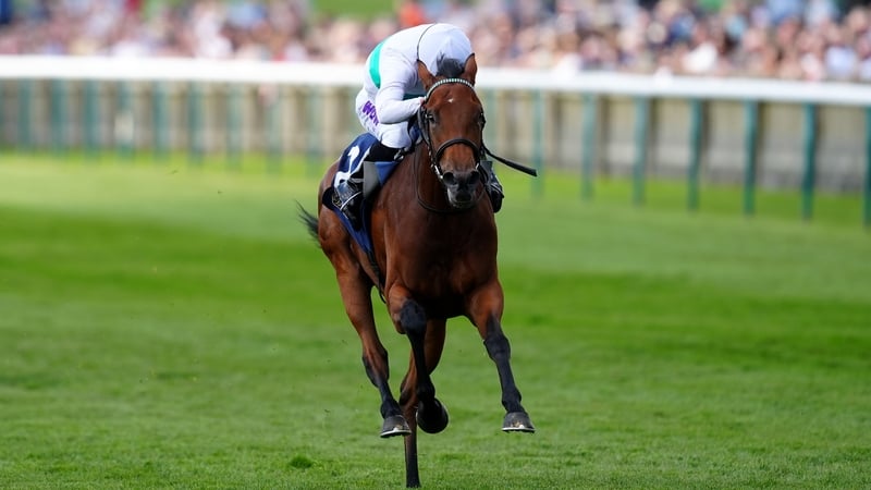 Friendly Soul has a Prix de Diane entry at Chantilly, but isn't entered in the Oaks at Epsom