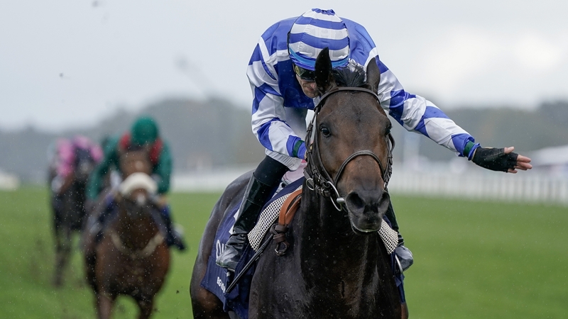 Big Rock receives a pat down the neck from Aurelien Lemaitre after his devastating frontrunning display in last year's QEII