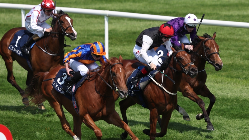 Fairy Godmother (near side) still looked as if she has much to learn