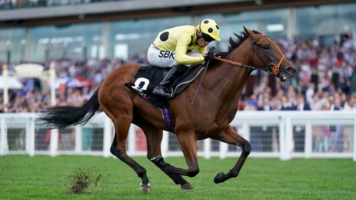 Connections of Rosallion will be hoping for a sound surface at HQ