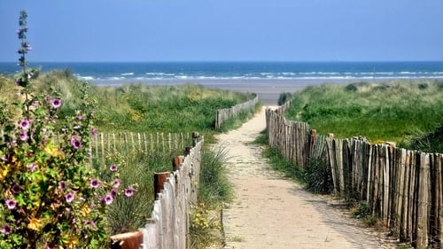 Bettystown Beach, Co Meath. 'Four in five people visited the coast at least once last summer, with more than a quarter visiting a beach or coastline once a week or more'. Photo: Rob Reilly
