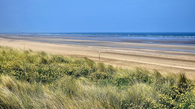 Bettystown Beach was deemed to have 'Excellent' bathing water quality