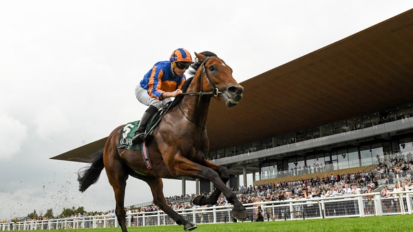 Henry Longfellow winning last season's National Stakes at the Curragh