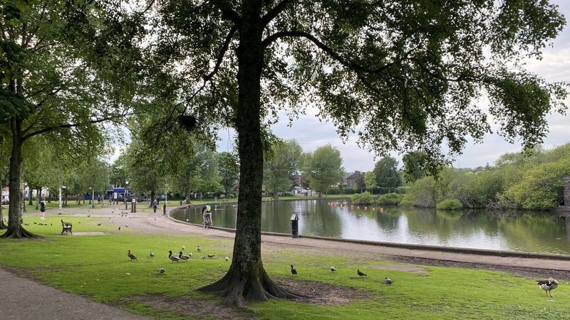 Joyce O'Mahony's body was discovered at a house at the Lough in Cork city earlier this week