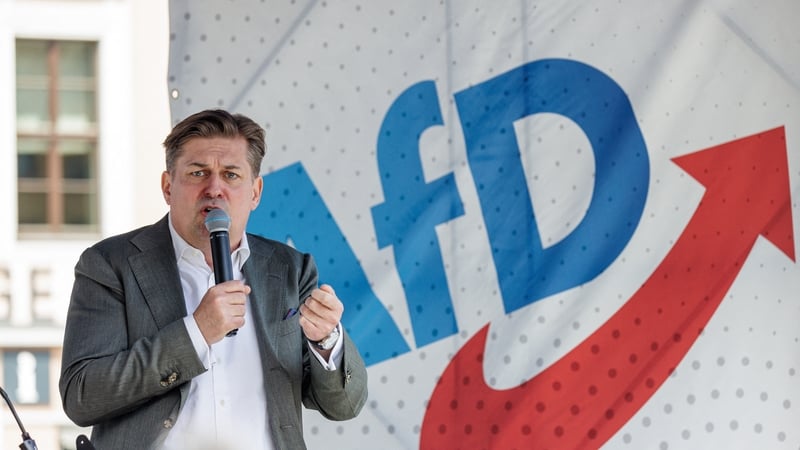 Maximilian Krah said in a statement that he would not attend future campaign appearances