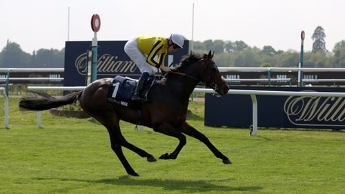 Losing the ride on Ambiente Friendly to a rider regarded as a journeyman will come as a major blow to Callum Shepherd