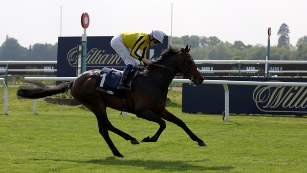 Ambiente Friendly's last win came In Lingfield's Derby Trial Stakes in May