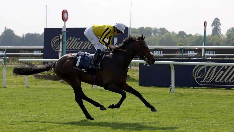 Ambiente Friendly is edging favouritism for the Irish Derby from Epsom third Los Angeles