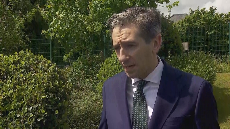 Members of the Burke family heckled Simon Harris while he was on a walkabout in Castlebar and later in Westport (File image)