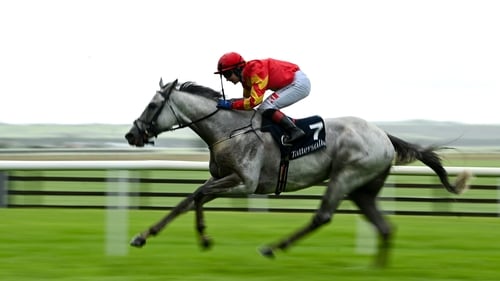 White Birch has been off the track since his win in the Tattersalls Gold Cup at the Curragh at the end of May