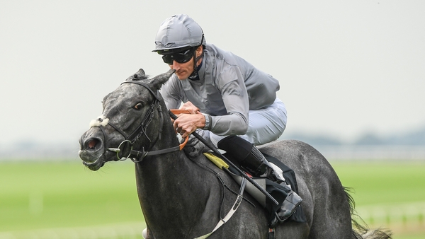 Fallen Angel proved her staying ability when never letting the lead go in the 1,000 Guineas
